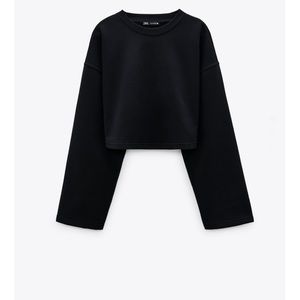 Zara Cropped sweater